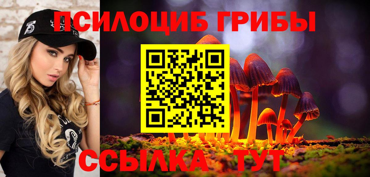 Галлюциногенные грибы прущие грибы  Псилоцибиновые грибы Psilocybe  Саяногорск  Вход с VPN 